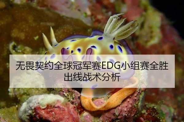 无畏契约全球冠军赛EDG小组赛全胜出线战术分析